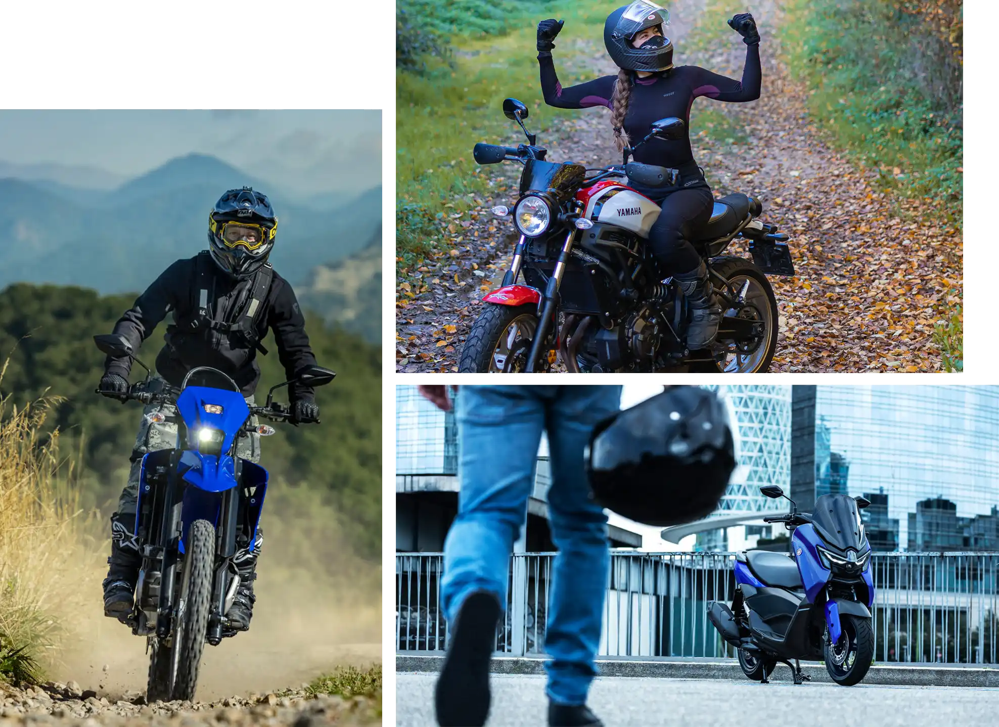 Führerscheinzuschuss im Motorradzentrum Freiburg